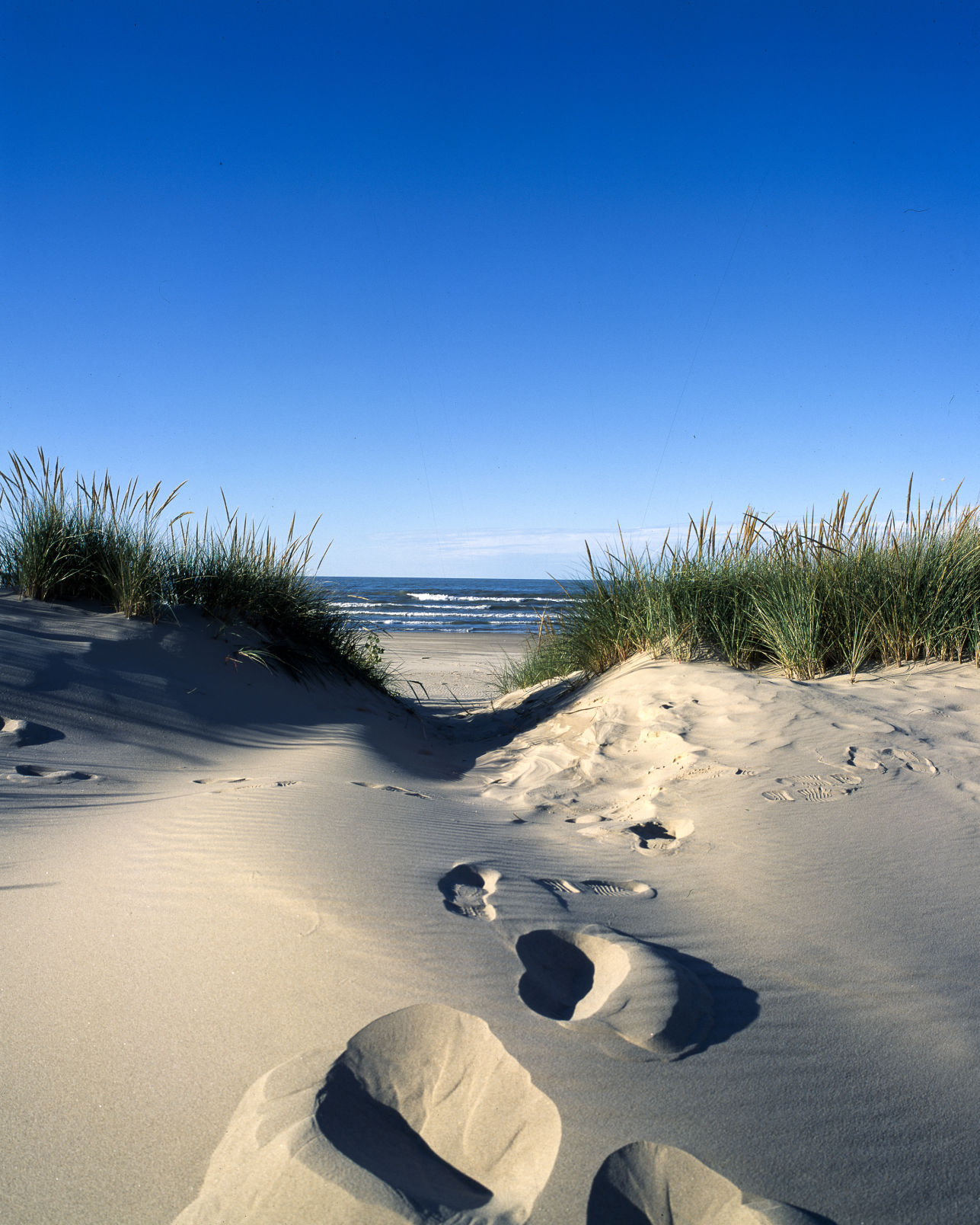 beaches